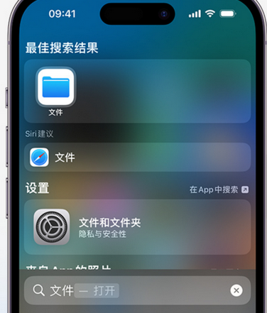 西湖apple维修中心分享iPhone文件应用中存储和找到下载文件 