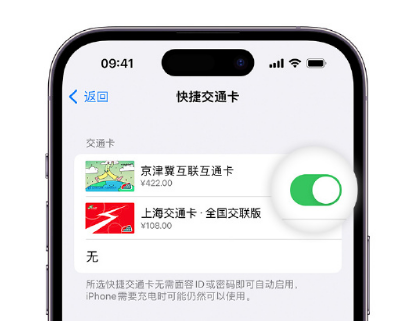 西湖apple维修点分享iPhone上更换Apple Pay快捷交通卡手绘卡面 