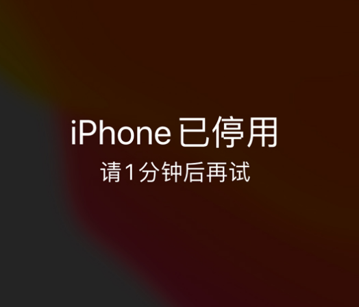 西湖苹果手机维修分享:iPhone 显示“不可用”或“已停用”怎么办？还能保留数据吗？ 