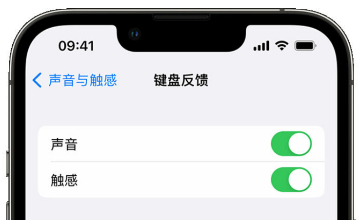 西湖苹果手机维修分享iPhone 14触感键盘使用方法 