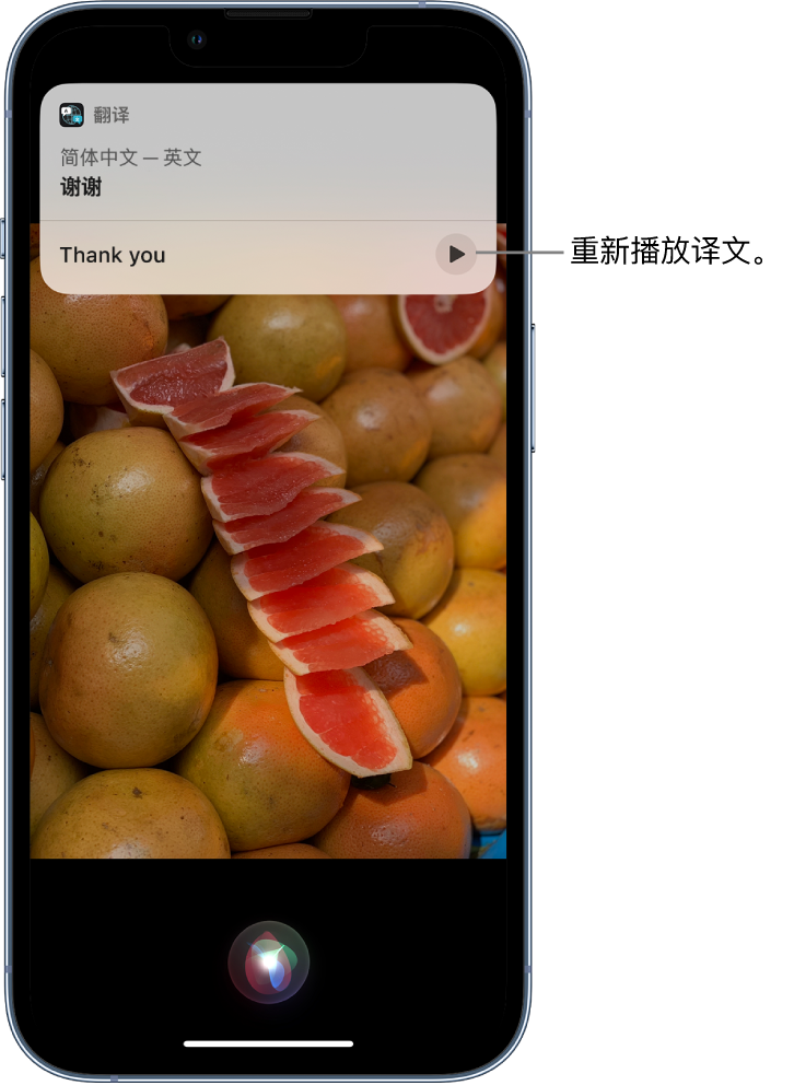 西湖苹果14维修分享 iPhone 14 机型中使用 Siri：了解 Siri 能帮你做什么 