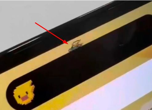 西湖苹果14维修分享iPhone 14 Pro Max灵动岛怎么养宠物 