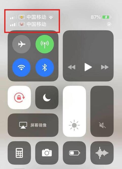 西湖苹果手机维修分享为 iPhone 12 双卡设置标签 