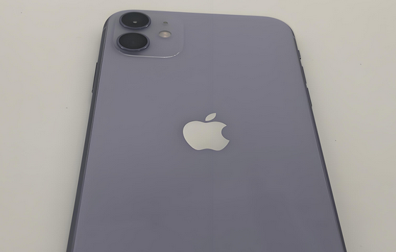西湖苹果11系统维修分享iPhone11手机系统崩溃无法开机如何解决 